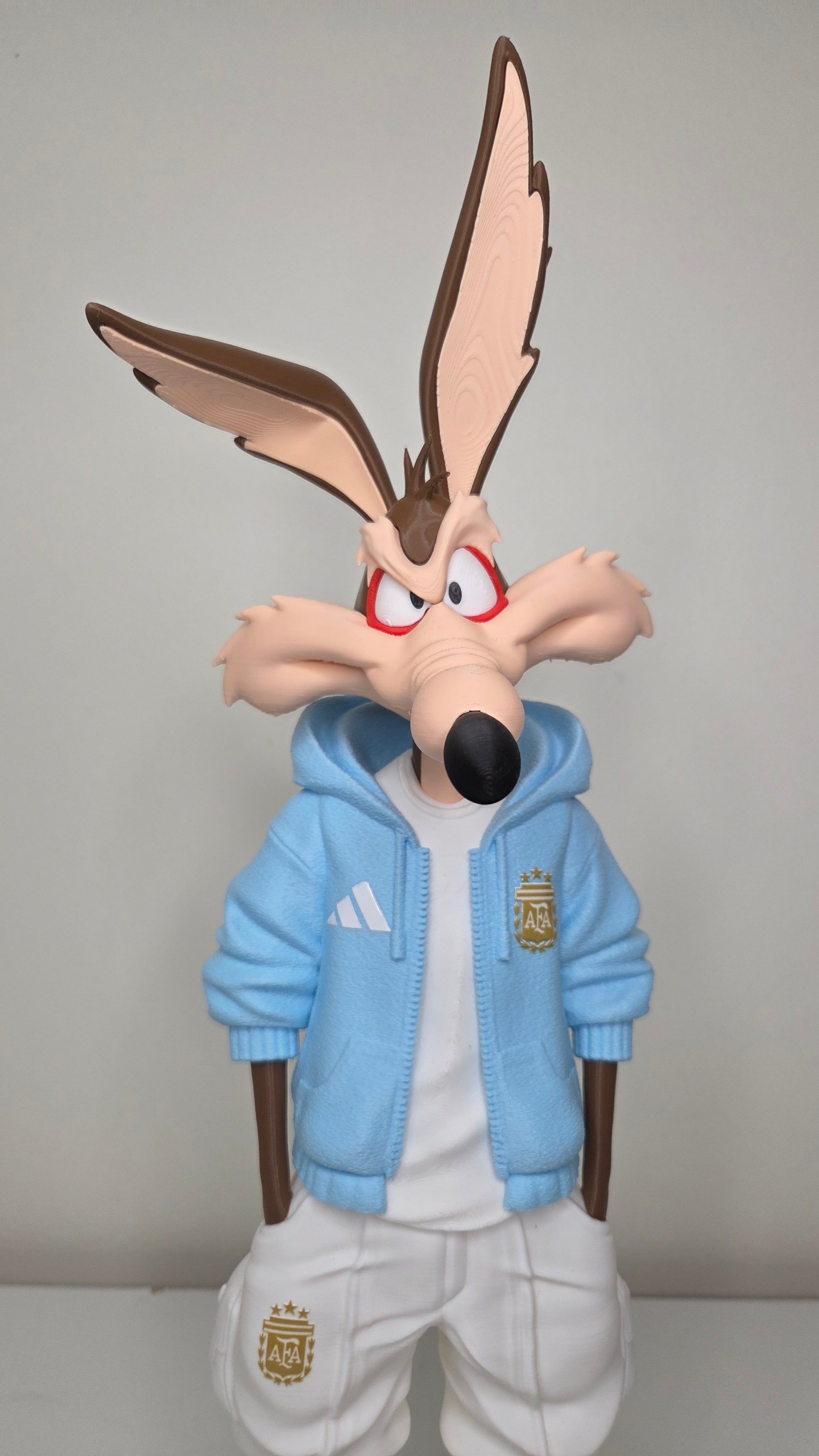 Wile E. Coyote x Argentina AFA 01 Custom Streetwear Figure 26