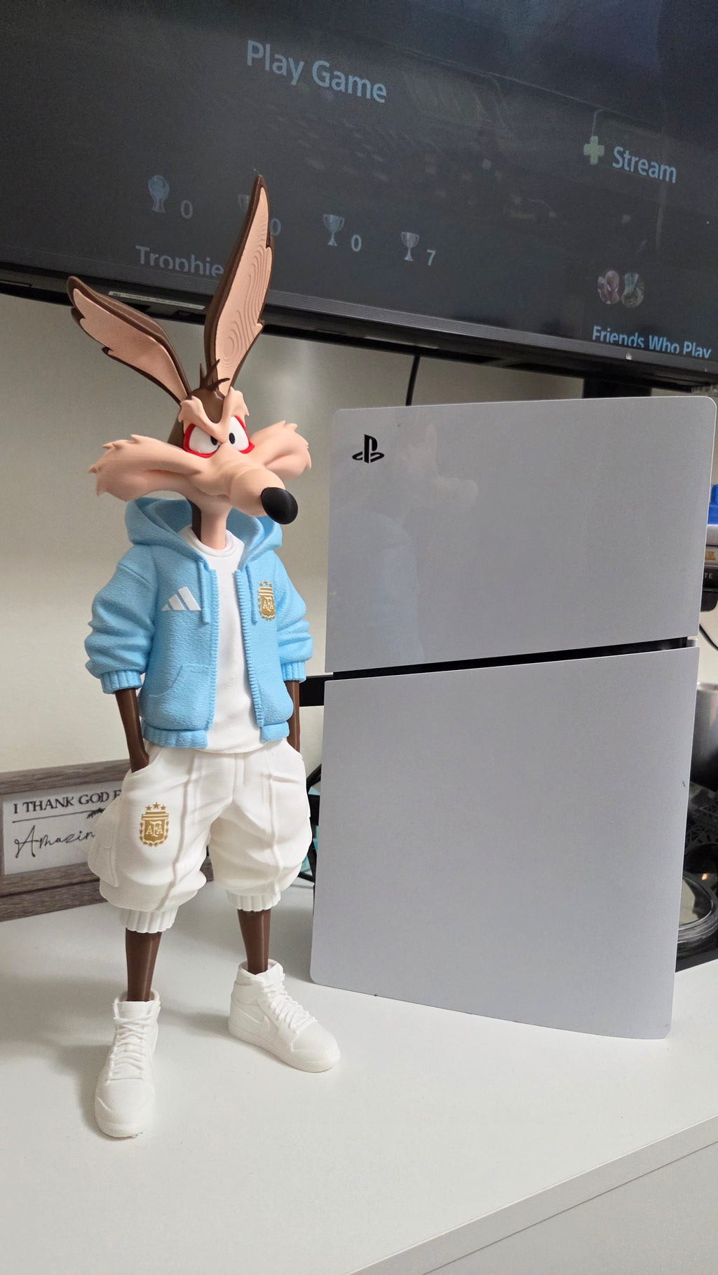 Wile E. Coyote x Argentina AFA 01 Custom Streetwear Figure 26