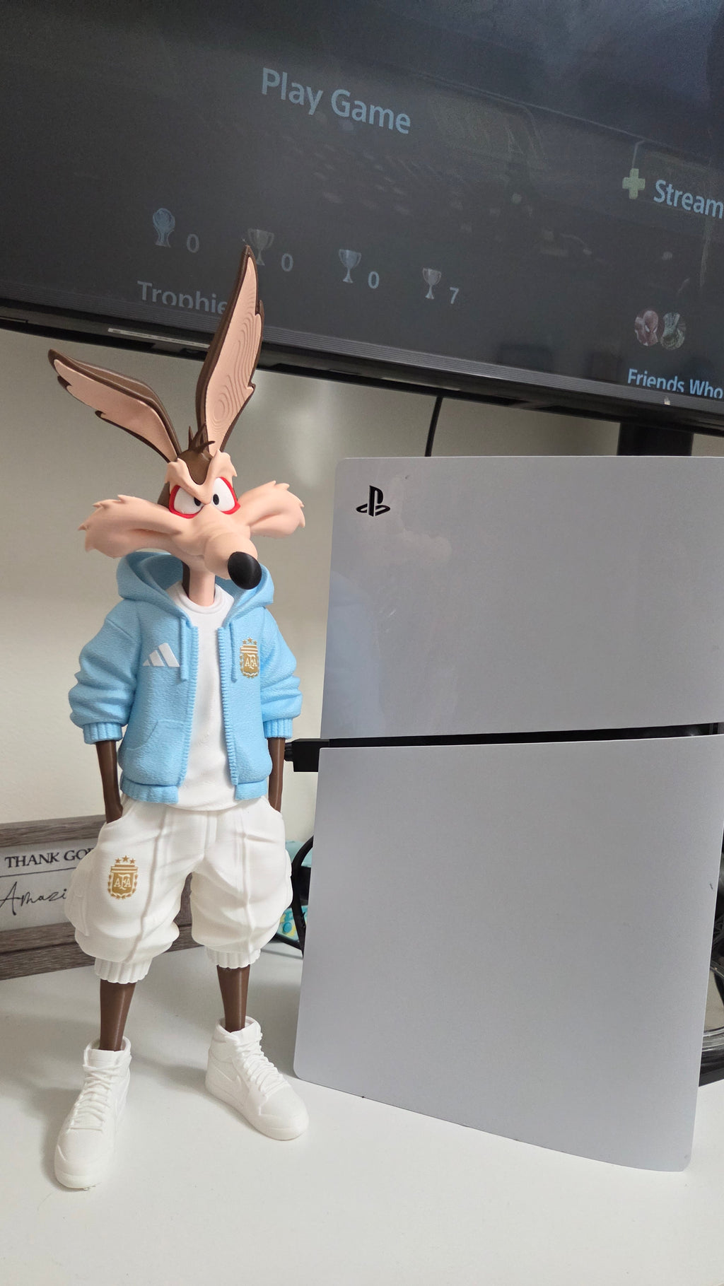Wile E. Coyote x Argentina AFA 01 Custom Streetwear Figure 26